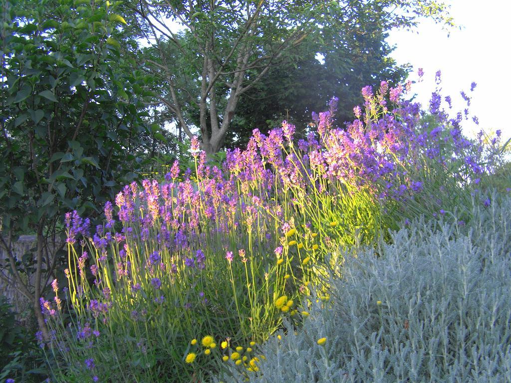 Fenetre Sur Loire Bed & Breakfast Iguerande Exterior foto