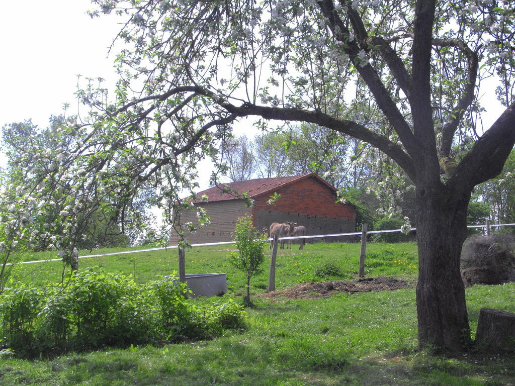 Fenetre Sur Loire Bed & Breakfast Iguerande Exterior foto